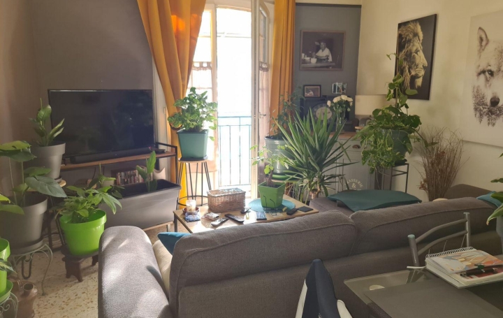  DUNIACH IMMOBILIER Appartement | CERET (66400) | 39 m2 | 114 000 € 