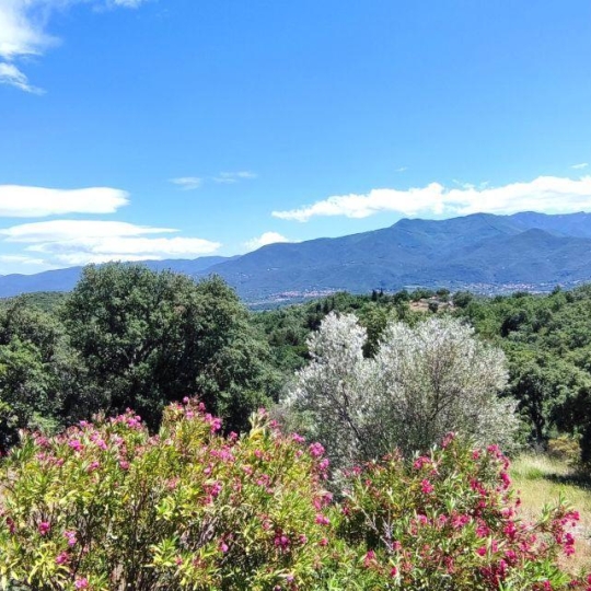  DUNIACH IMMOBILIER : Maison / Villa | CERET (66400) | 280 m2 | 950 000 € 