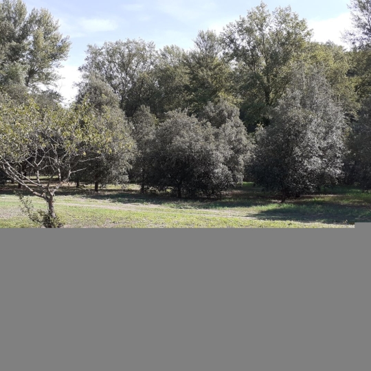  DUNIACH IMMOBILIER : House | ARLES-SUR-TECH (66150) | 130 m2 | 299 000 € 