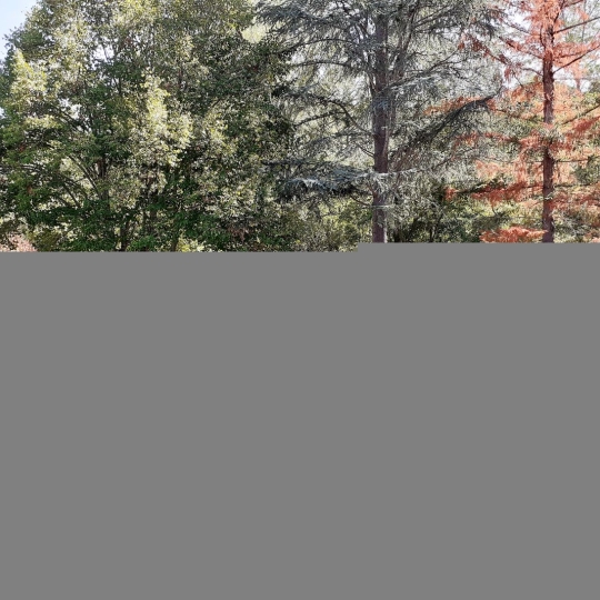  DUNIACH IMMOBILIER : House | ARLES-SUR-TECH (66150) | 130 m2 | 299 000 € 