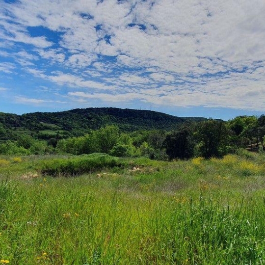  DUNIACH IMMOBILIER : Terrain | TAUSSAC-LA-BILLIERE (34600) | 0 m2 | 99 000 € 