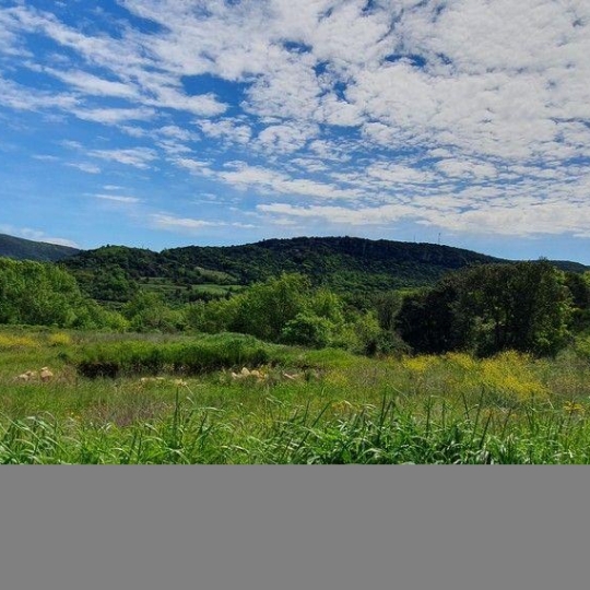  DUNIACH IMMOBILIER : Terrain | TAUSSAC-LA-BILLIERE (34600) | 0 m2 | 99 000 € 