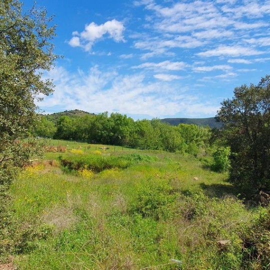  DUNIACH IMMOBILIER : Terrain | TAUSSAC-LA-BILLIERE (34600) | 0 m2 | 99 000 € 