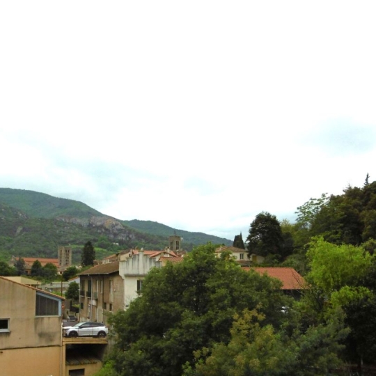  DUNIACH IMMOBILIER : Appartement | ARLES-SUR-TECH (66150) | 53 m2 | 59 000 € 
