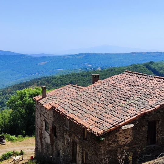  DUNIACH IMMOBILIER : Domaines / Propriétés | LA BASTIDE (66110) | 480 m2 | 650 000 € 