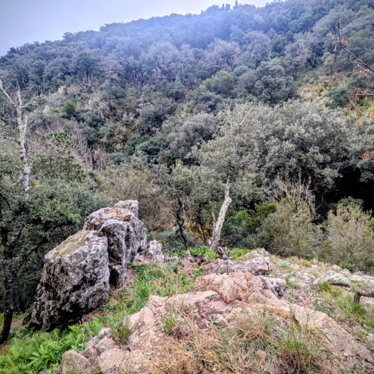  DUNIACH IMMOBILIER : House | CERET (66400) | 120 m2 | 366 000 &euro; 