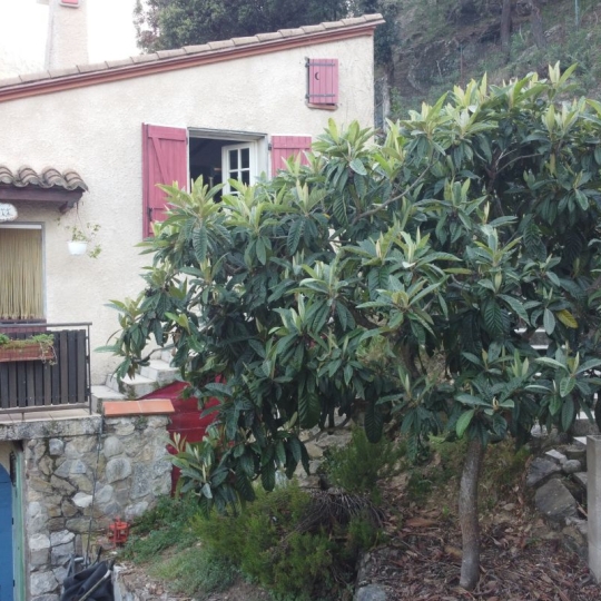  DUNIACH IMMOBILIER : House | CERET (66400) | 120 m2 | 366 000 &euro; 