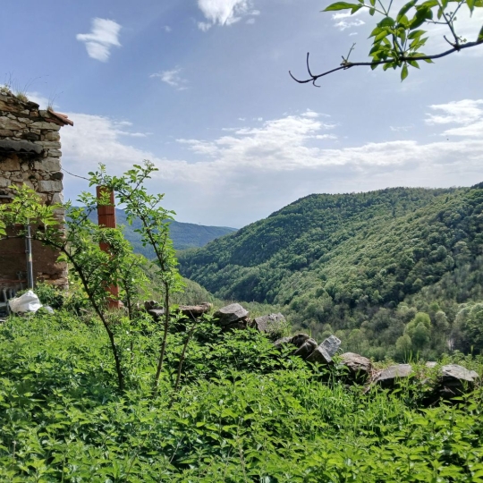  DUNIACH IMMOBILIER : Terrain | CORSAVY (66150) | 0 m2 | 85 000 &euro; 