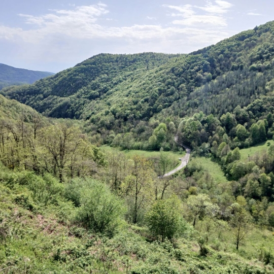  DUNIACH IMMOBILIER : Terrain | CORSAVY (66150) | 0 m2 | 85 000 &euro; 
