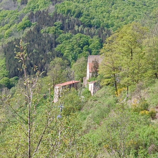 DUNIACH IMMOBILIER : Terrain | CORSAVY (66150) | 0 m2 | 85 000 &euro; 