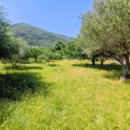  DUNIACH IMMOBILIER : Maison / Villa | ARLES-SUR-TECH (66150) | 144 m2 | 234 000 &euro; 