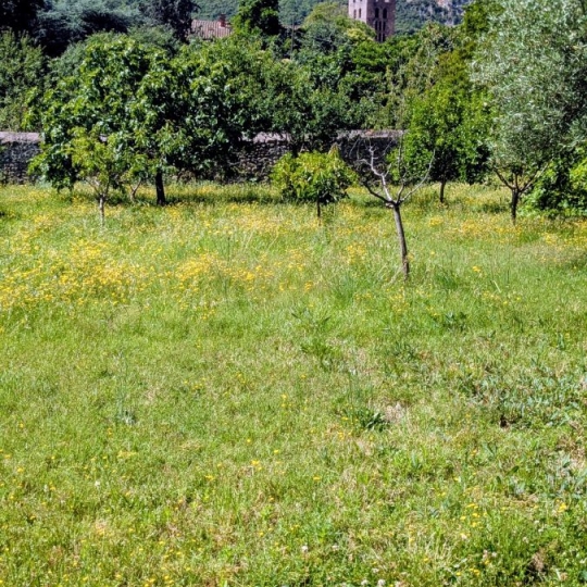  DUNIACH IMMOBILIER : Terrain | ARLES-SUR-TECH (66150) | 0 m2 | 161 000 &euro; 