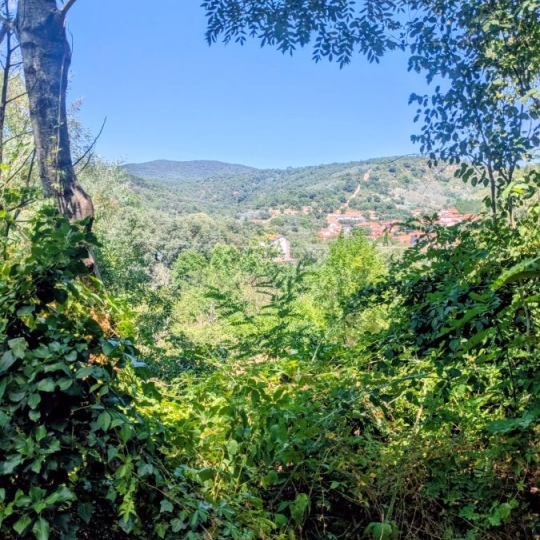  DUNIACH IMMOBILIER : Maison / Villa | REYNES (66400) | 92 m2 | 245 000 &euro; 