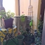  DUNIACH IMMOBILIER : Appartement | CERET (66400) | 39 m2 | 109 000 € 