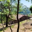  DUNIACH IMMOBILIER : Domaines / Propriétés | LA BASTIDE (66110) | 480 m2 | 650 000 € 