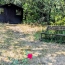  DUNIACH IMMOBILIER : Maison / Villa | REYNES (66400) | 92 m2 | 245 000 &euro; 