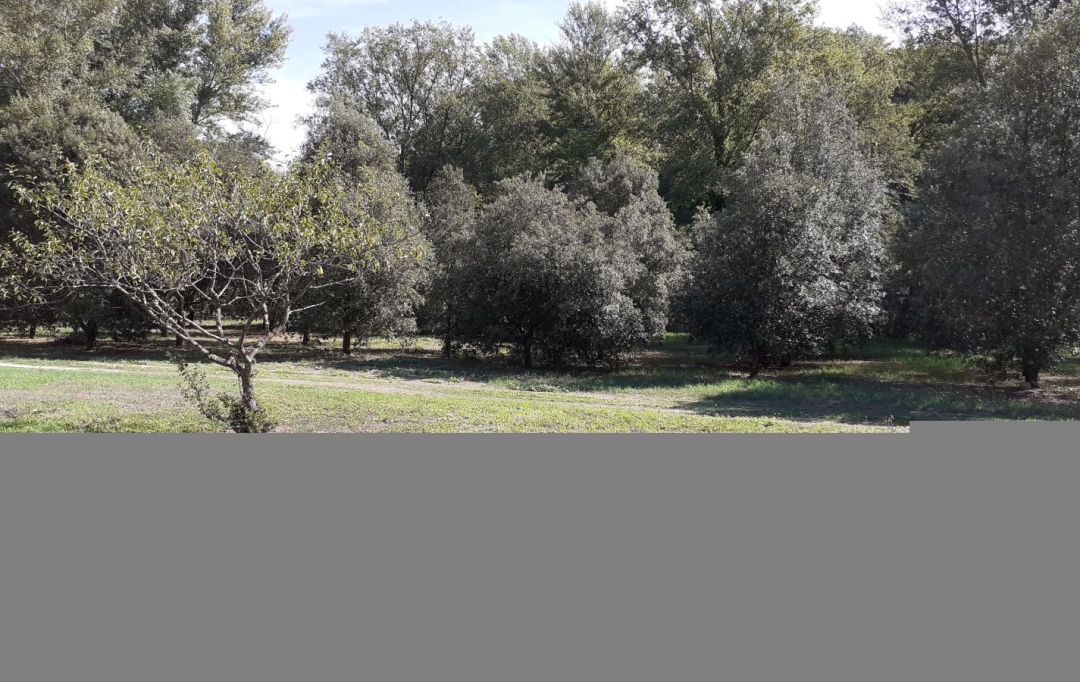 DUNIACH IMMOBILIER : House | ARLES-SUR-TECH (66150) | 130 m2 | 299 000 € 