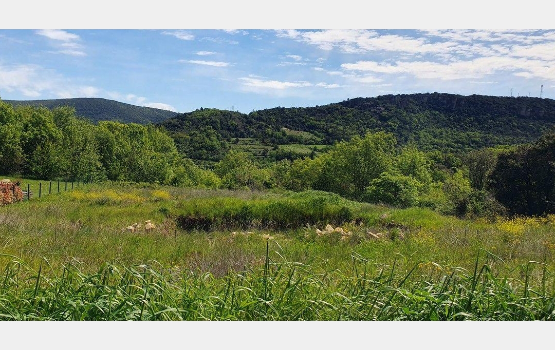 DUNIACH IMMOBILIER : Terrain | TAUSSAC-LA-BILLIERE (34600) | 0 m2 | 99 000 € 