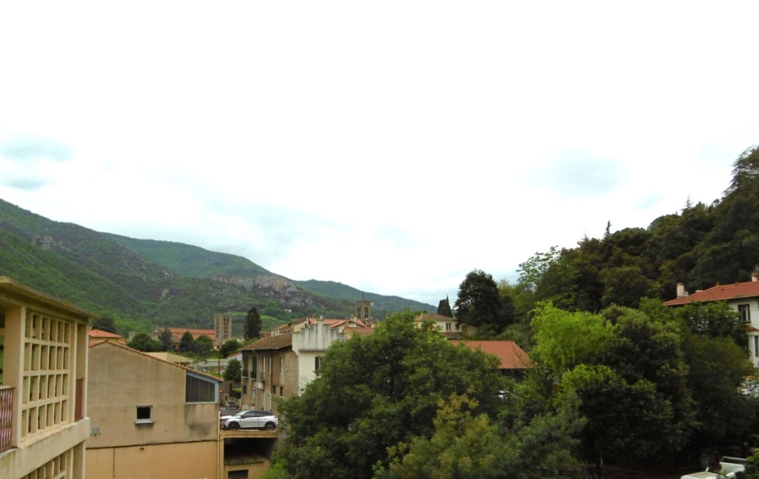 DUNIACH IMMOBILIER : Appartement | ARLES-SUR-TECH (66150) | 53 m2 | 59 000 € 