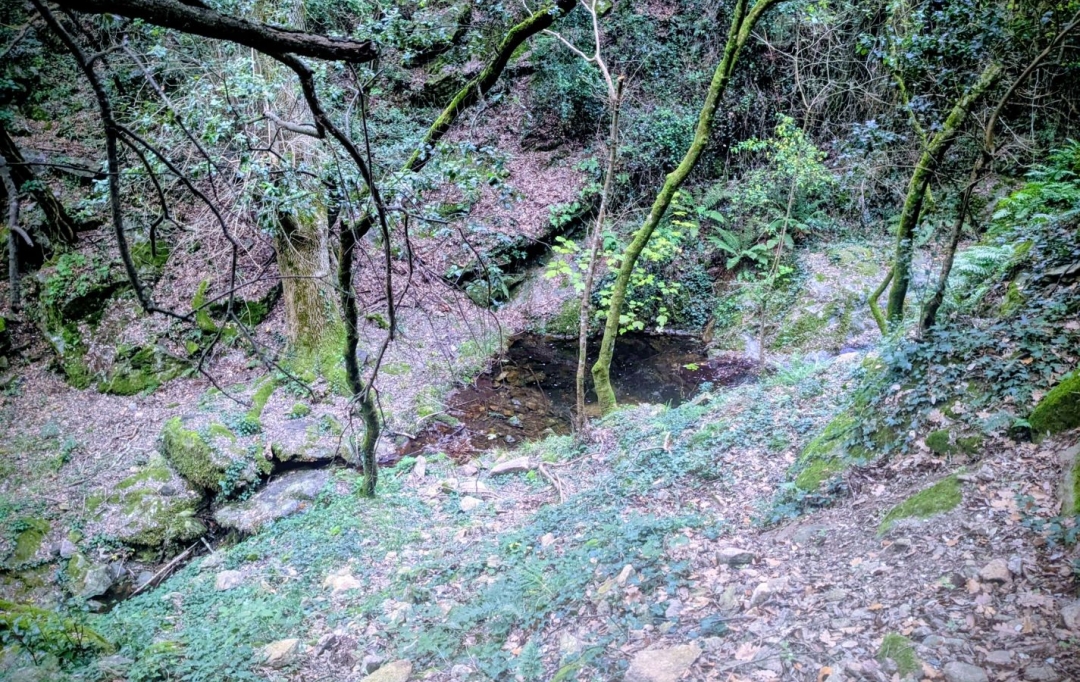 DUNIACH IMMOBILIER : House | CERET (66400) | 120 m2 | 366 000 &euro; 