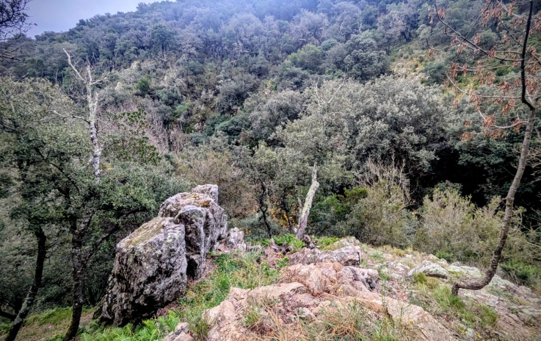 DUNIACH IMMOBILIER : House | CERET (66400) | 120 m2 | 366 000 &euro; 