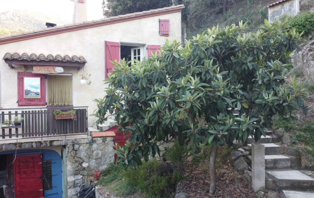 DUNIACH IMMOBILIER : House | CERET (66400) | 120 m2 | 366 000 &euro; 
