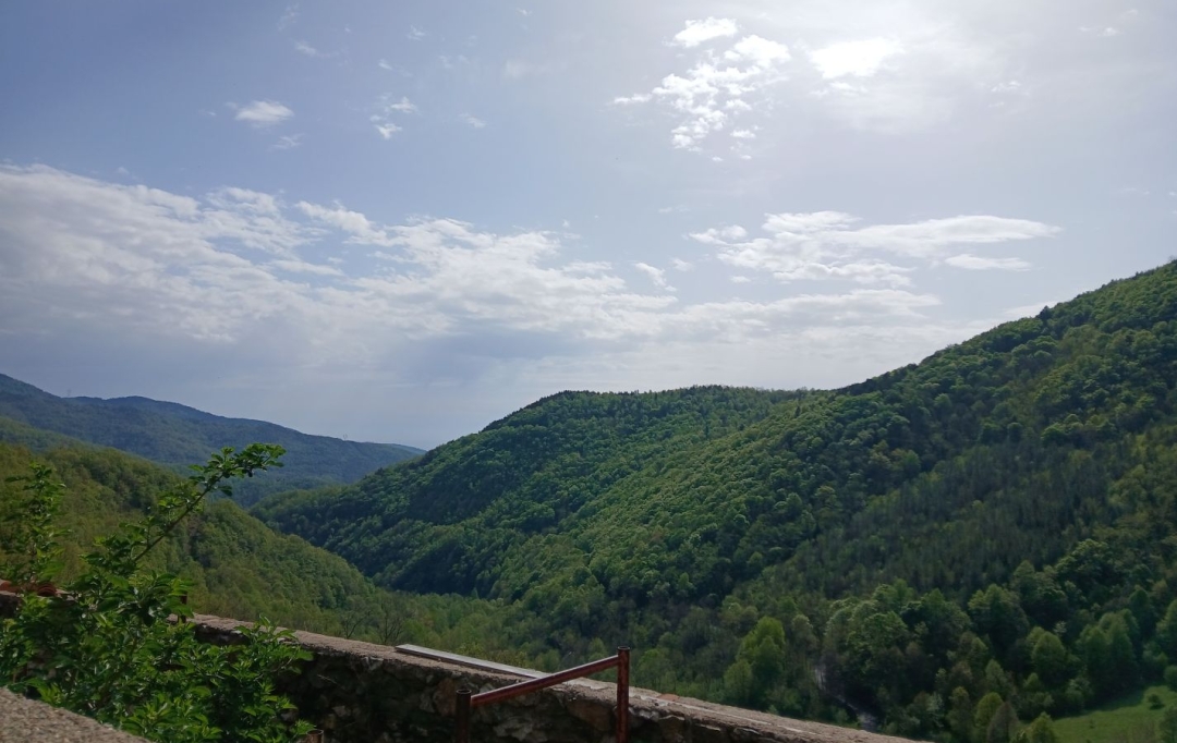DUNIACH IMMOBILIER : Terrain | CORSAVY (66150) | 0 m2 | 85 000 &euro; 