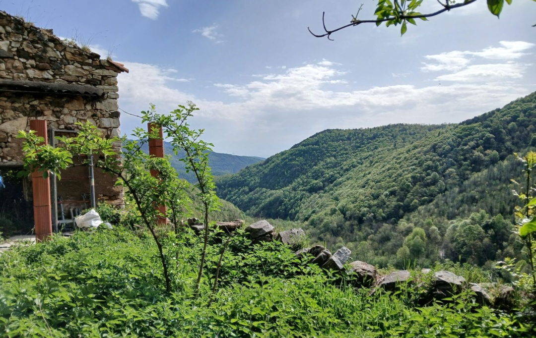 DUNIACH IMMOBILIER : Terrain | CORSAVY (66150) | 0 m2 | 85 000 &euro; 