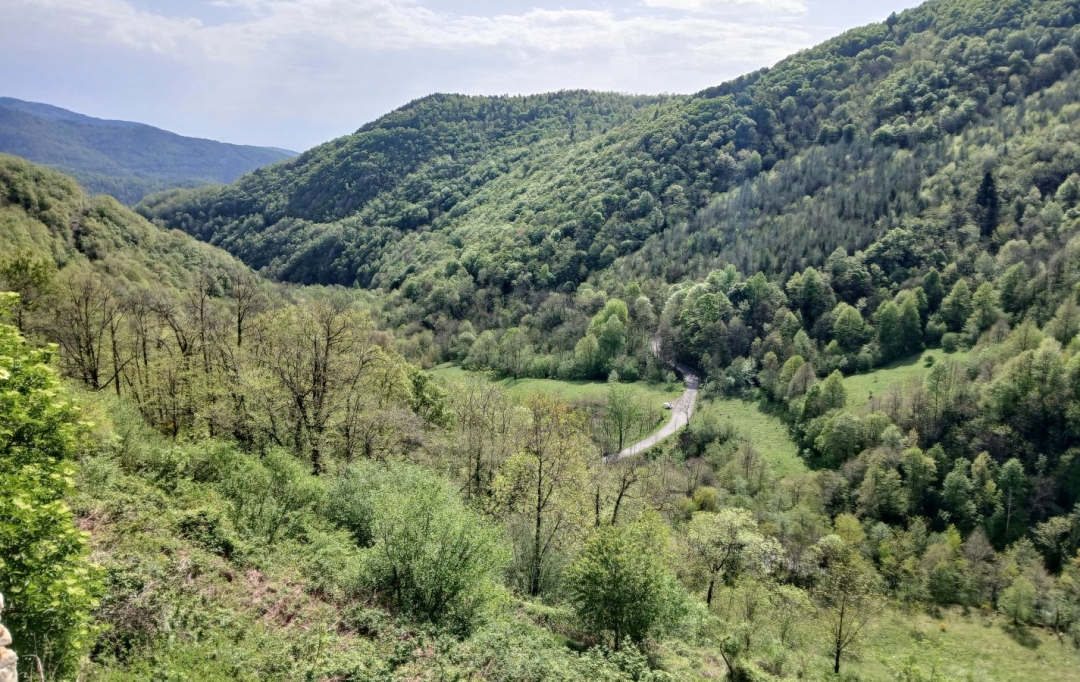 DUNIACH IMMOBILIER : Terrain | CORSAVY (66150) | 0 m2 | 85 000 &euro; 