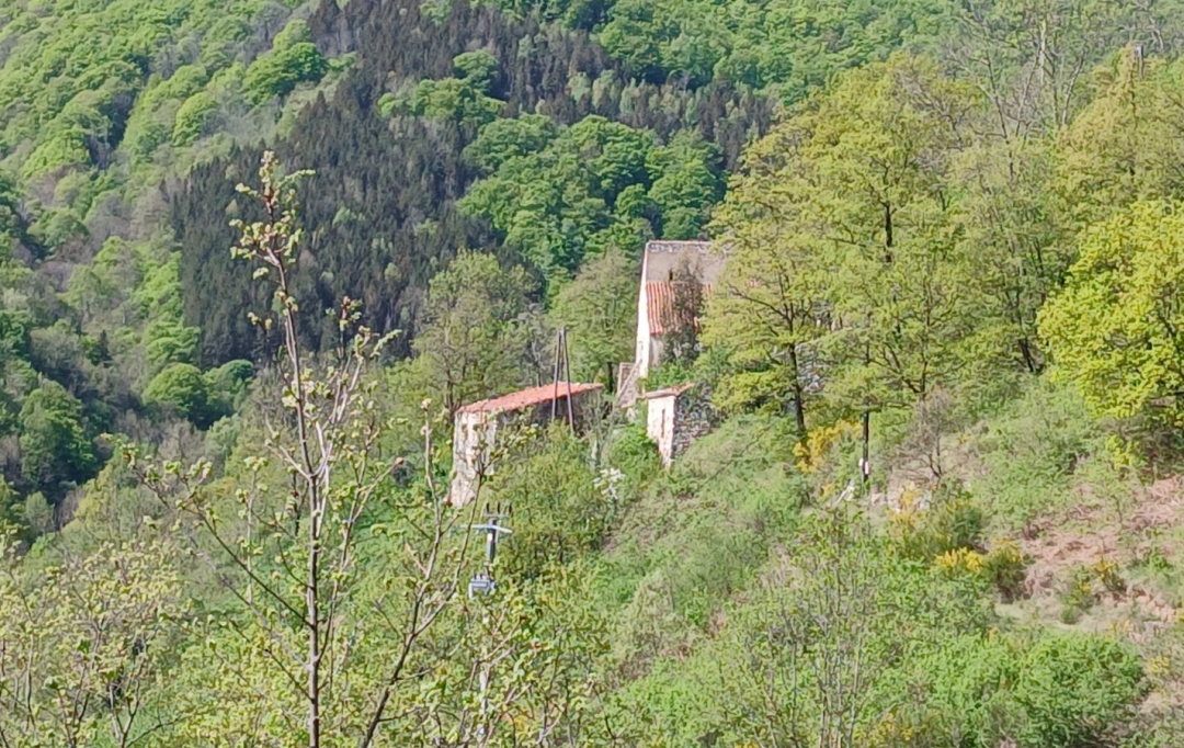 DUNIACH IMMOBILIER : Terrain | CORSAVY (66150) | 0 m2 | 85 000 &euro; 