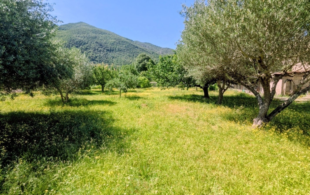 DUNIACH IMMOBILIER : Terrain | ARLES-SUR-TECH (66150) | 0 m2 | 161 000 &euro; 