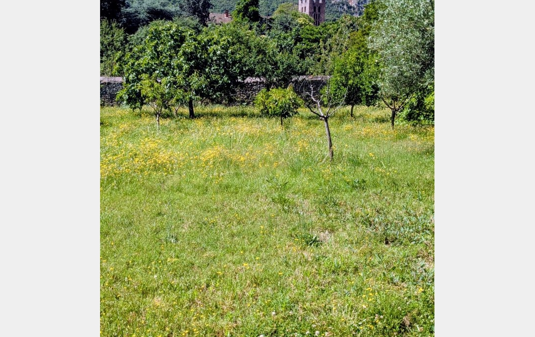 DUNIACH IMMOBILIER : Terrain | ARLES-SUR-TECH (66150) | 0 m2 | 161 000 &euro; 