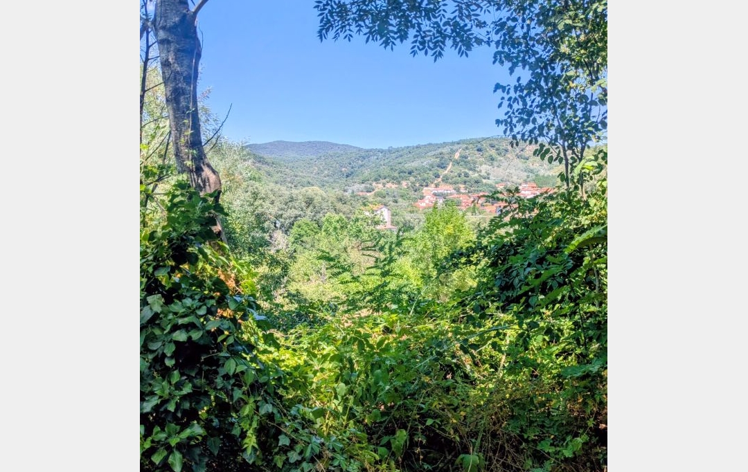 DUNIACH IMMOBILIER : Maison / Villa | REYNES (66400) | 92 m2 | 245 000 &euro; 