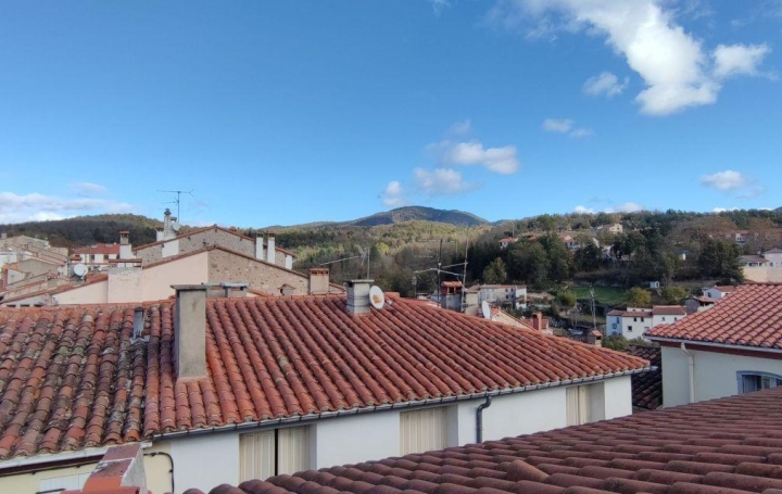 Immeuble SAINT-LAURENT-DE-CERDANS 280 m2 99 500 € Immeuble SAINT-LAURENT-DE-CERDANS 280 m2 99 500 €