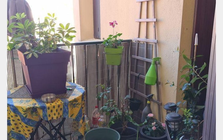  DUNIACH IMMOBILIER Apartment | CERET (66400) | 39 m2 | 109 000 € 