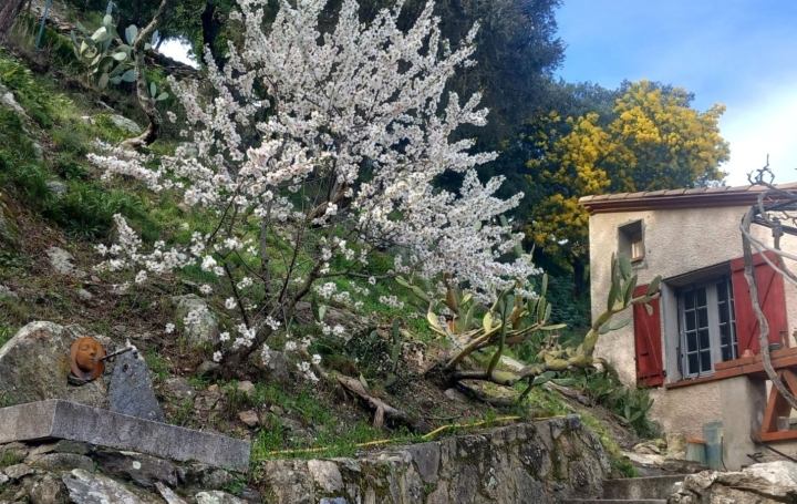  DUNIACH IMMOBILIER Maison / Villa | CERET (66400) | 120 m2 | 366 000 € 