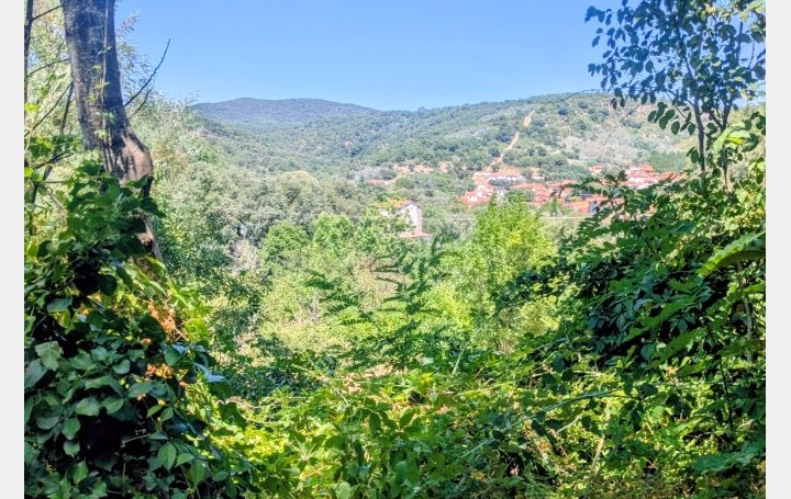  DUNIACH IMMOBILIER House | REYNES (66400) | 92 m2 | 245 000 € 
