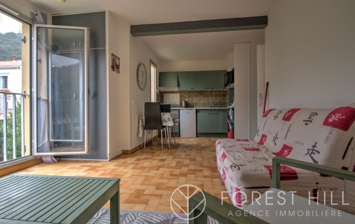 Studio   AMELIE-LES-BAINS-PALALDA  30 m2 46 000 € 