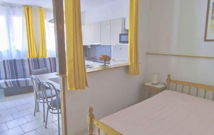 DUNIACH IMMOBILIER : Appartement | AMELIE-LES-BAINS-PALALDA (66110) | 24 m2 | 39 500 € 