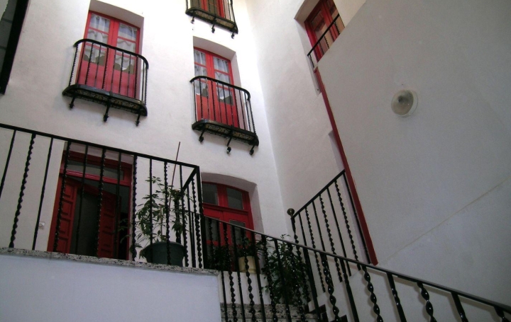  DUNIACH IMMOBILIER Building | ARLES-SUR-TECH (66150) | 525 m2 | 426 000 € 